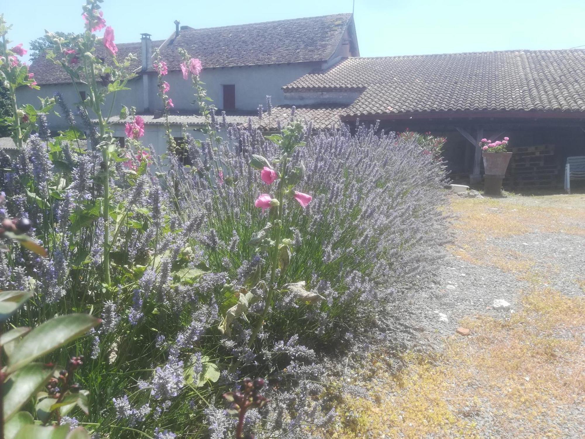 Les Vignes Pomport Exterior foto