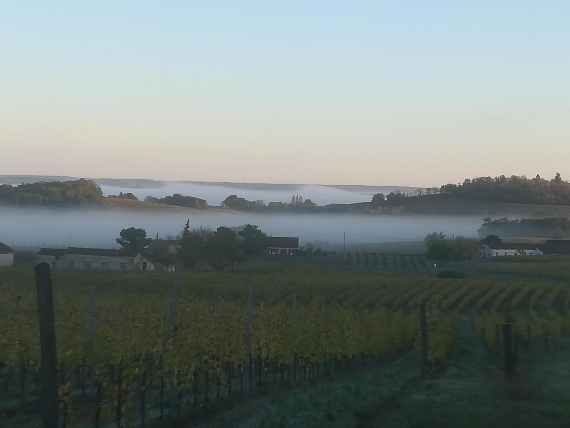 Les Vignes Pomport Exterior foto