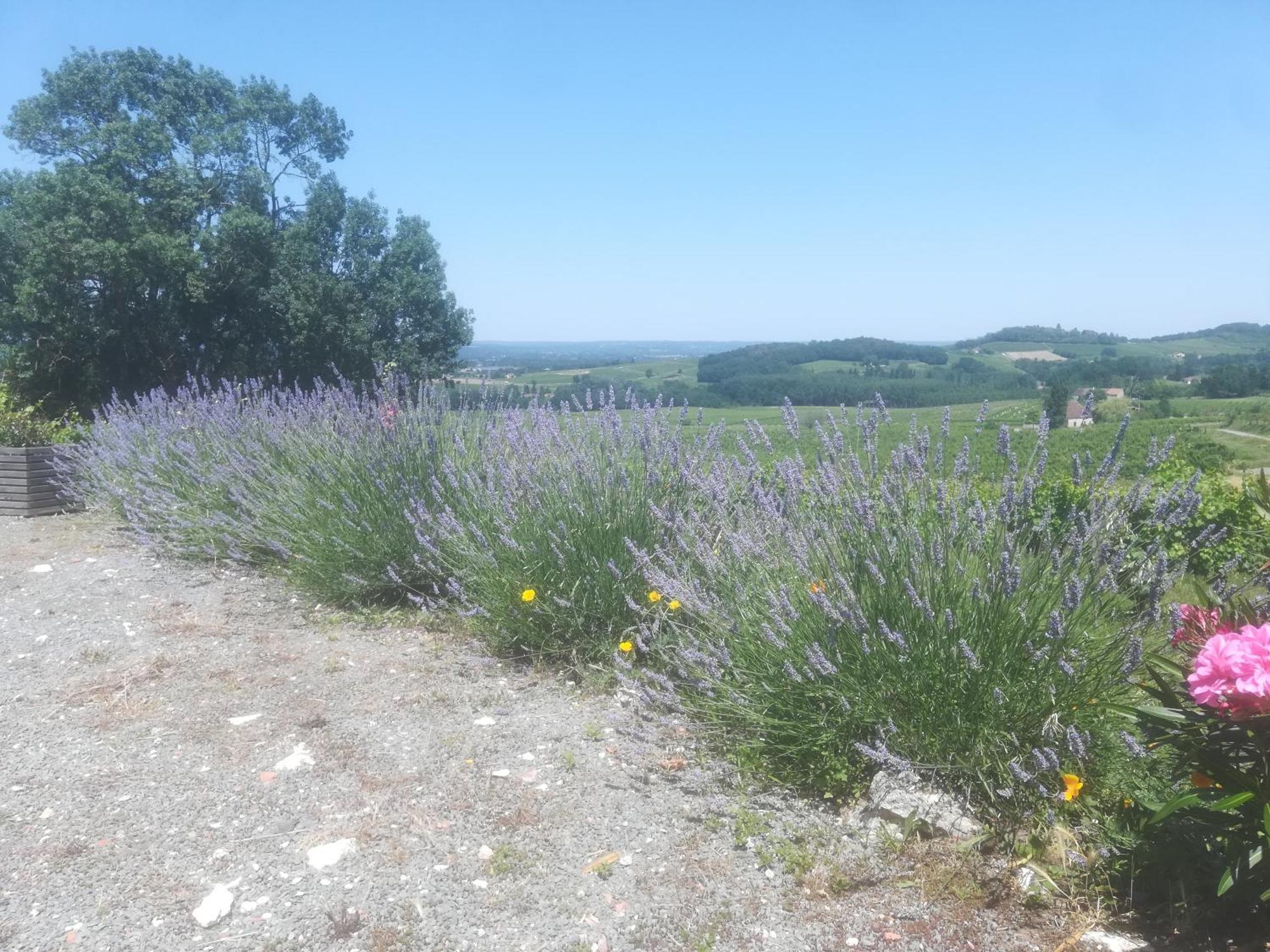 Les Vignes Pomport Exterior foto